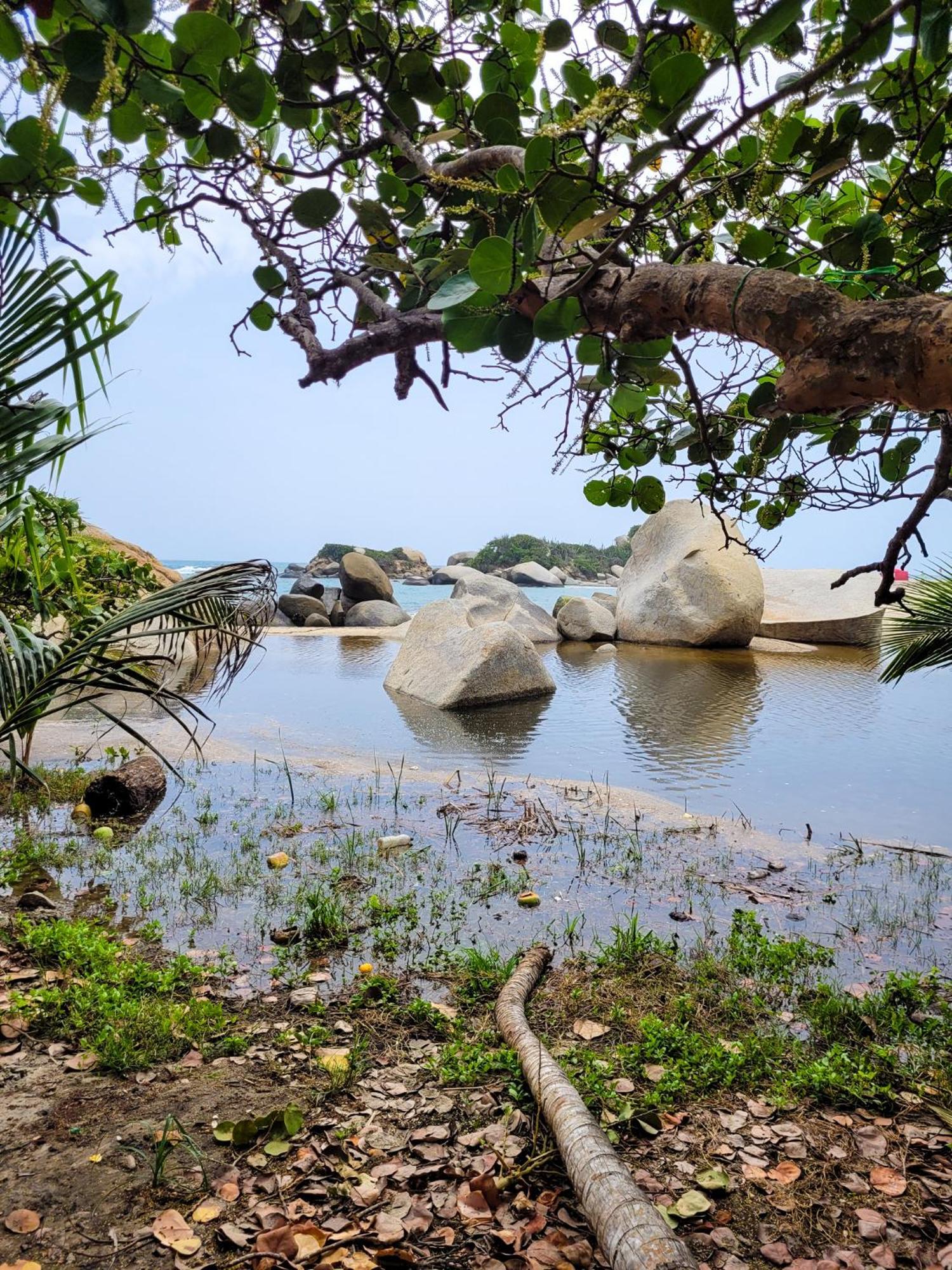 Tayrona Angel Lodge Zaino Kültér fotó